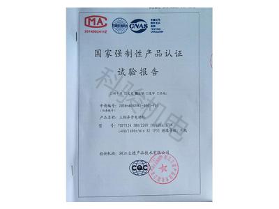 國家強制性認證試驗報告：三相異步電動(dòng)機