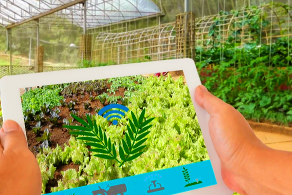 環(huán)境監(jiān)控系統(tǒng)，為農(nóng)作物生長保駕護(hù)航