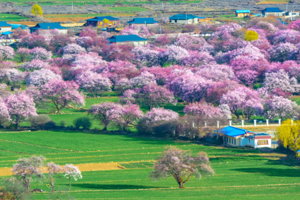 山東省打造生態(tài)環(huán)境監(jiān)測社會化服務(wù)平臺！