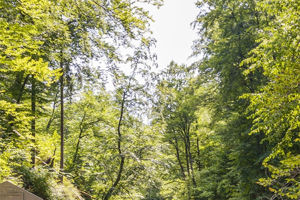 從環(huán)境監(jiān)測特點(diǎn)出發(fā)，看部署環(huán)境監(jiān)測系統(tǒng)的重要性