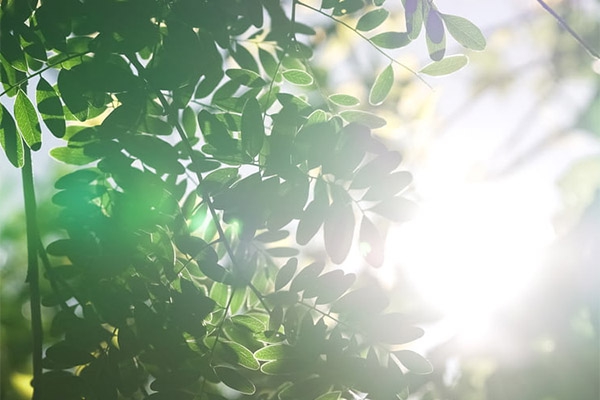 樓宇自控系統(tǒng)和環(huán)境監(jiān)測系統(tǒng)聯(lián)動(dòng)，確保辦公建筑更智能更舒適