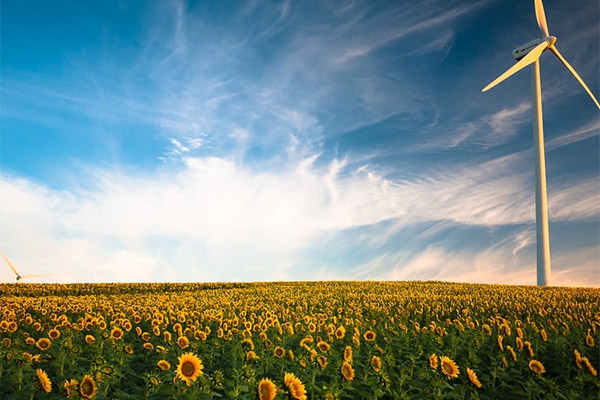 健康室內(nèi)環(huán)境需要監(jiān)測的參數(shù)和要求?