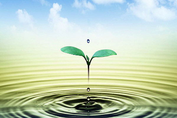 環(huán)境監(jiān)測公司如何吸引客戶與自己合作呢？