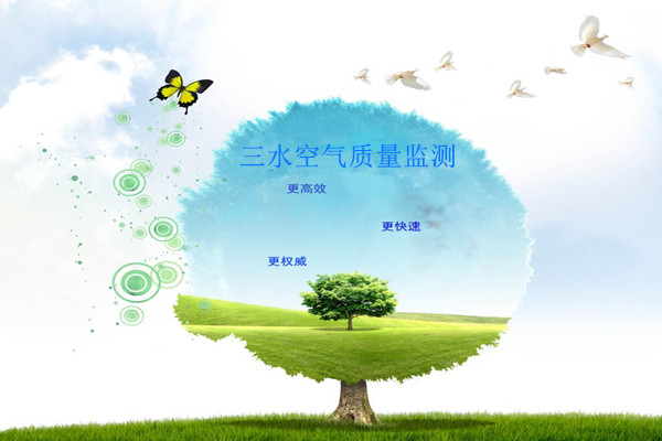 空氣質(zhì)量實(shí)時(shí)監(jiān)測的采樣工作容易出現(xiàn)哪些問題？