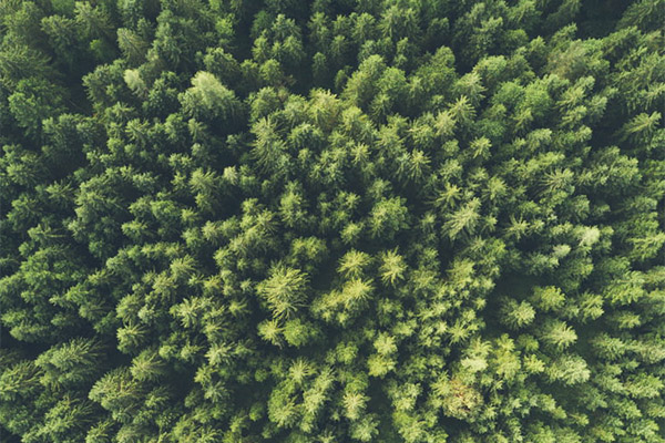 環(huán)境監(jiān)測系統(tǒng)